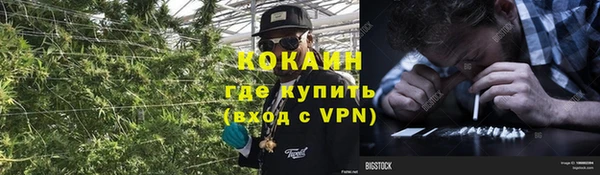 меф VHQ Дмитриев